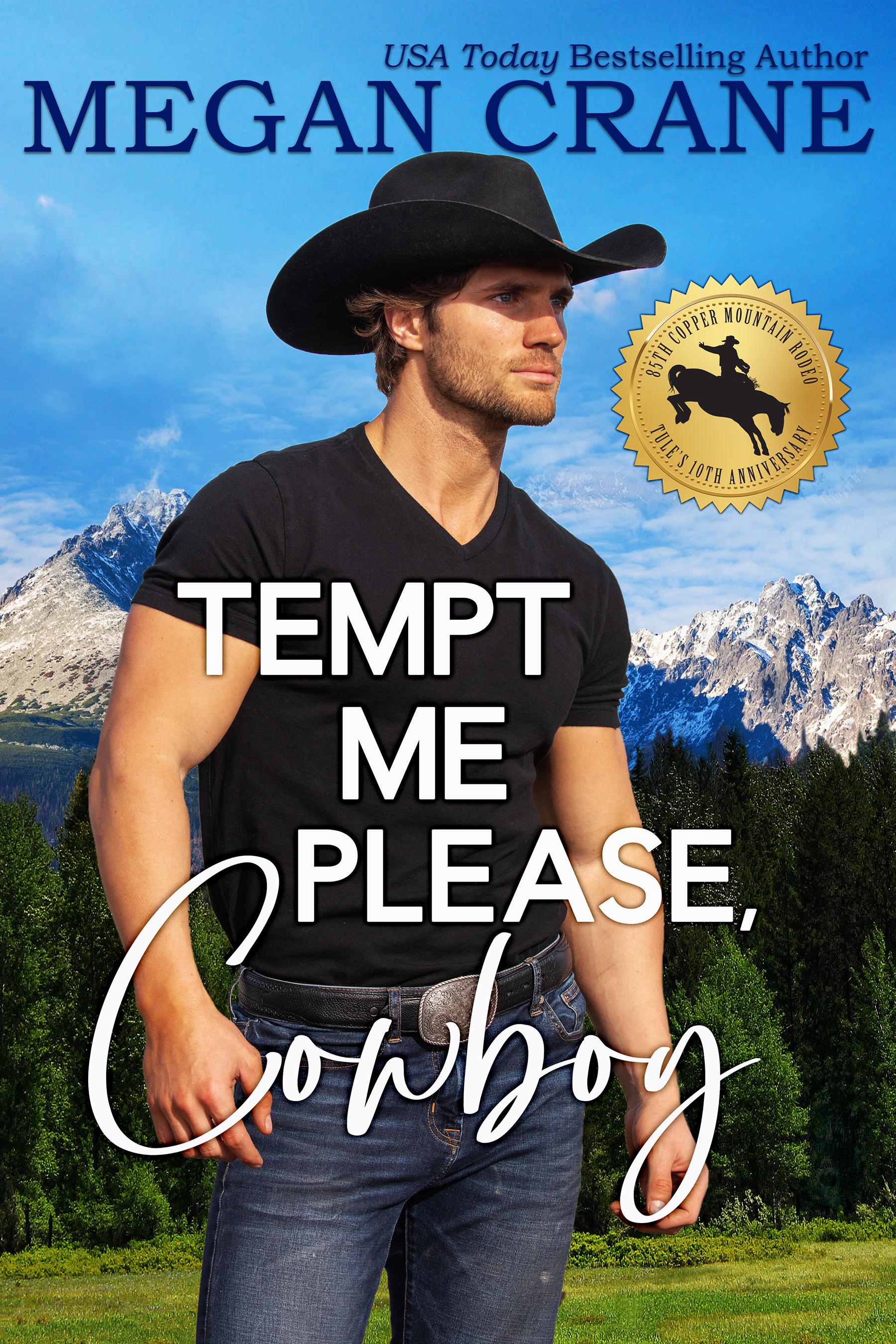 Tempt Me Please, Cowboy book cover