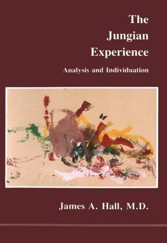 The Jungian Experience book cover