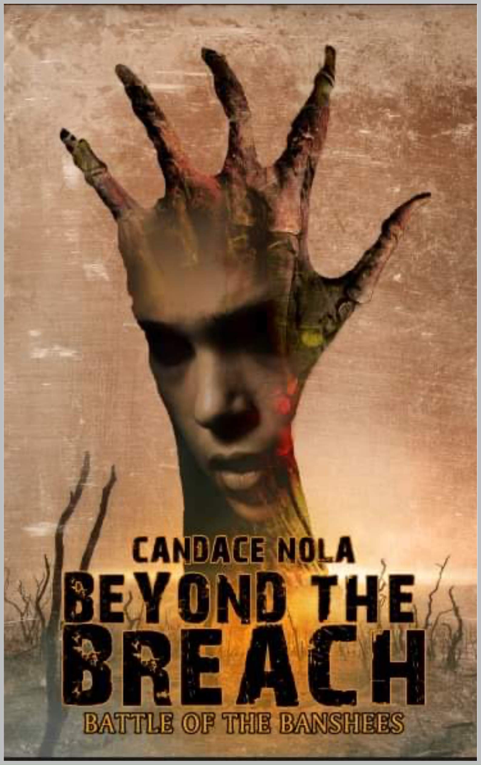 Beyond The Breach book cover