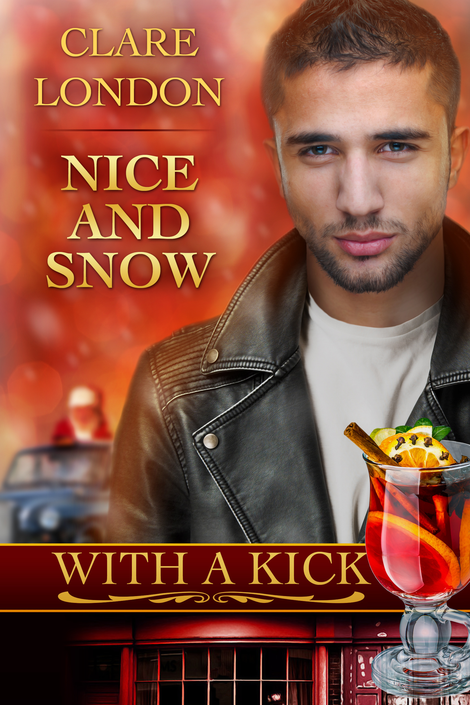 Nice and Snow book cover