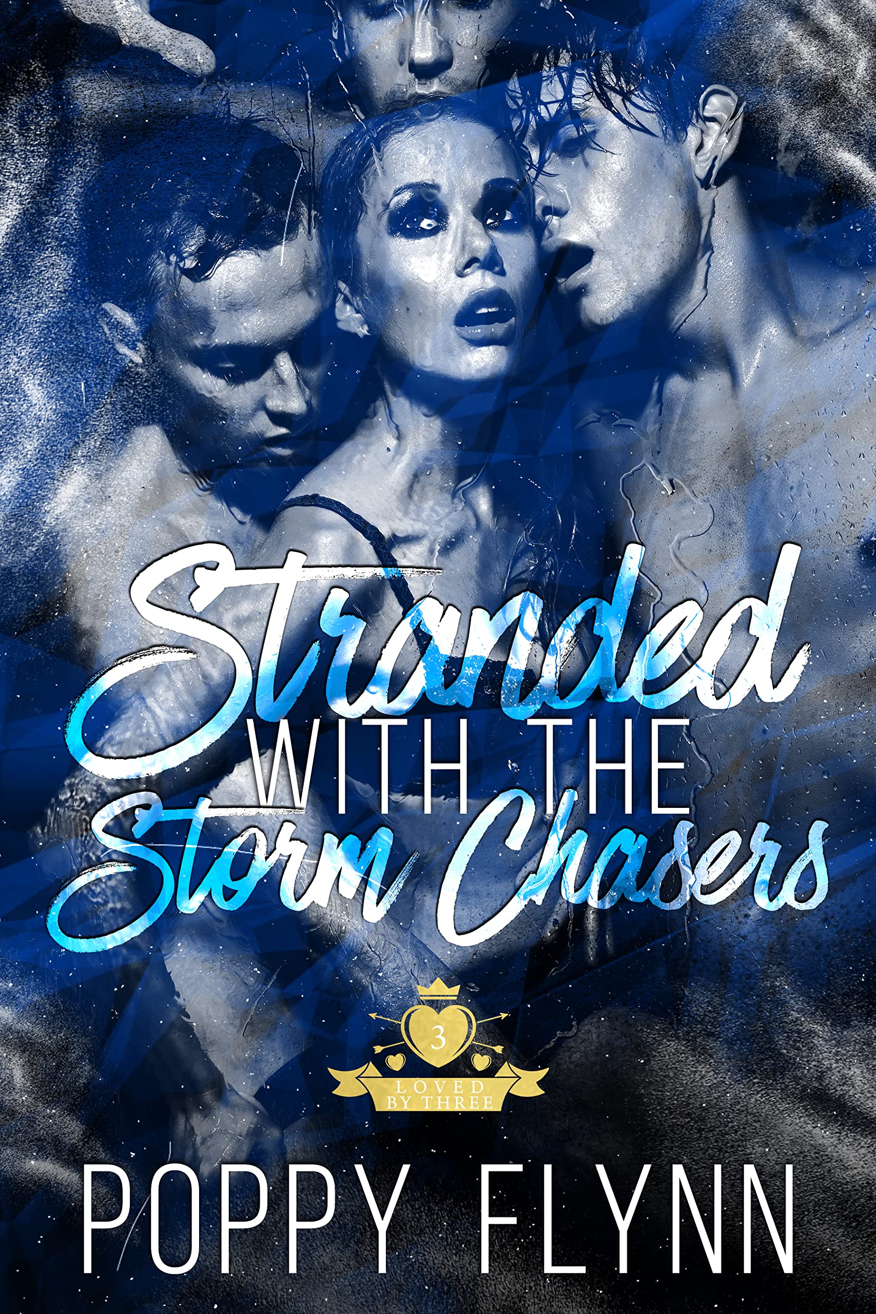 Stranded with the Storm Chasers book cover