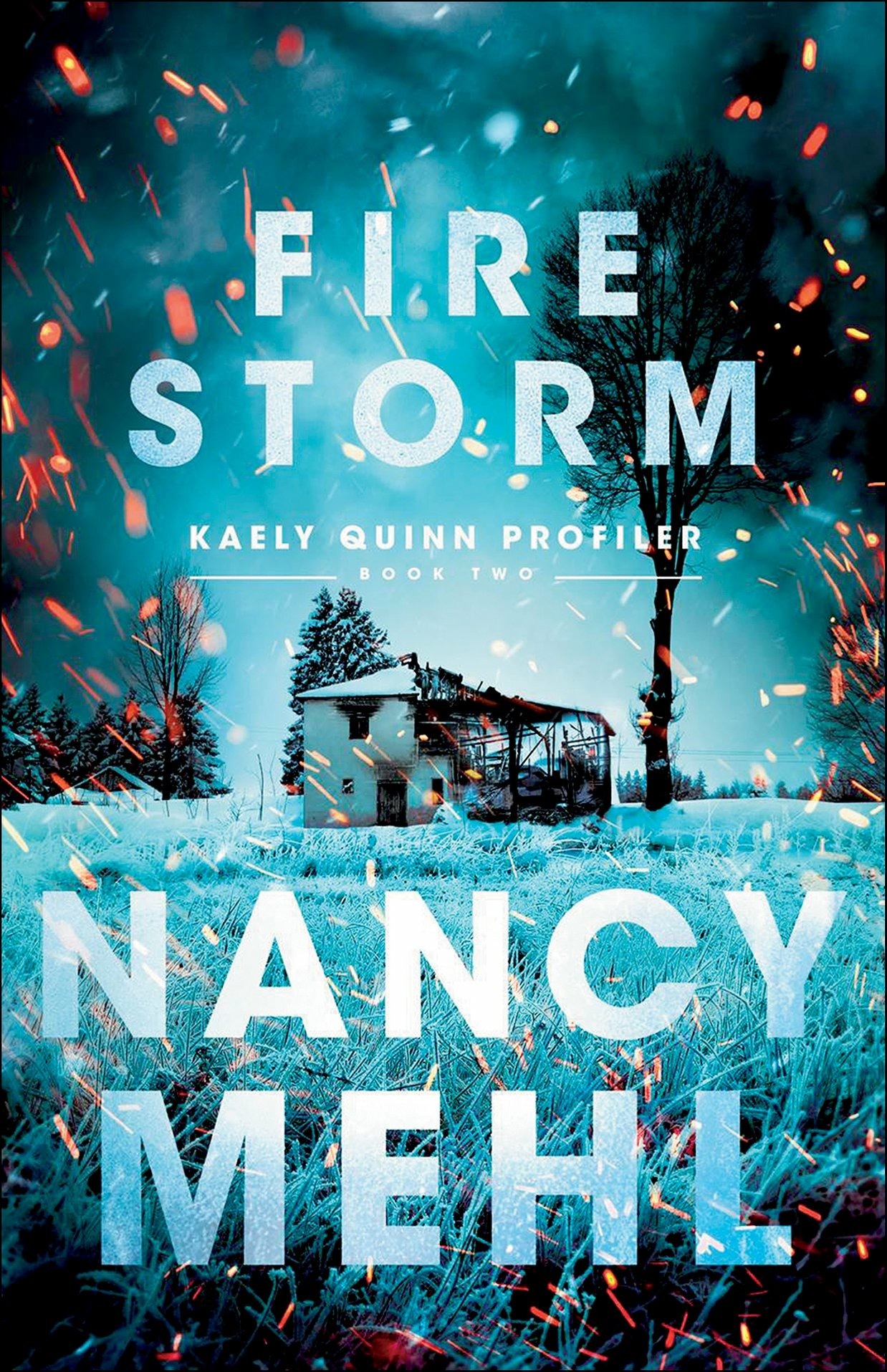 Kaely Quinn Profiler book cover 2
