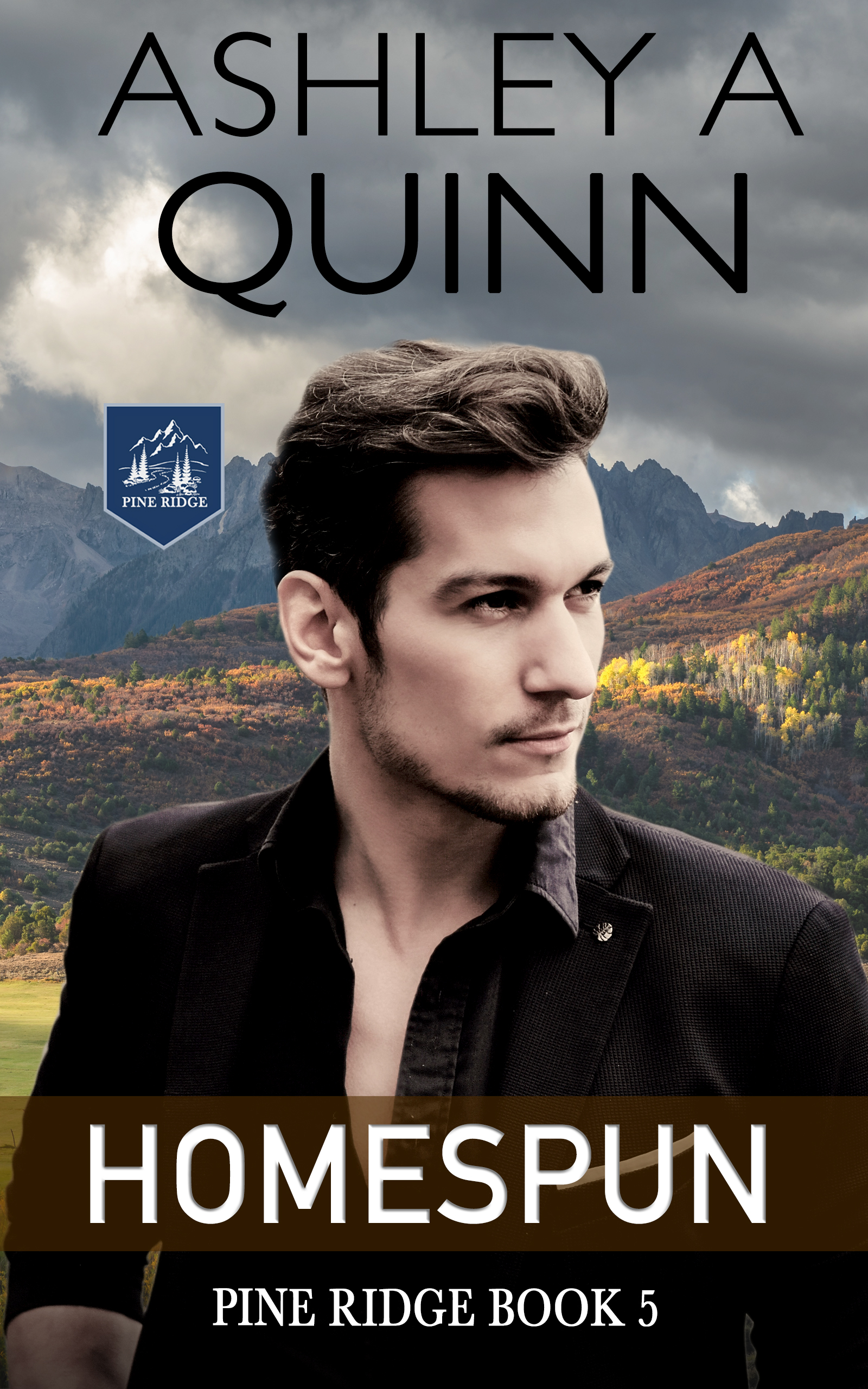Homespun book cover