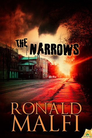 The Narrows book cover