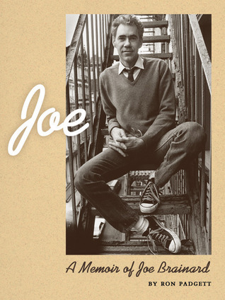 Joe book cover