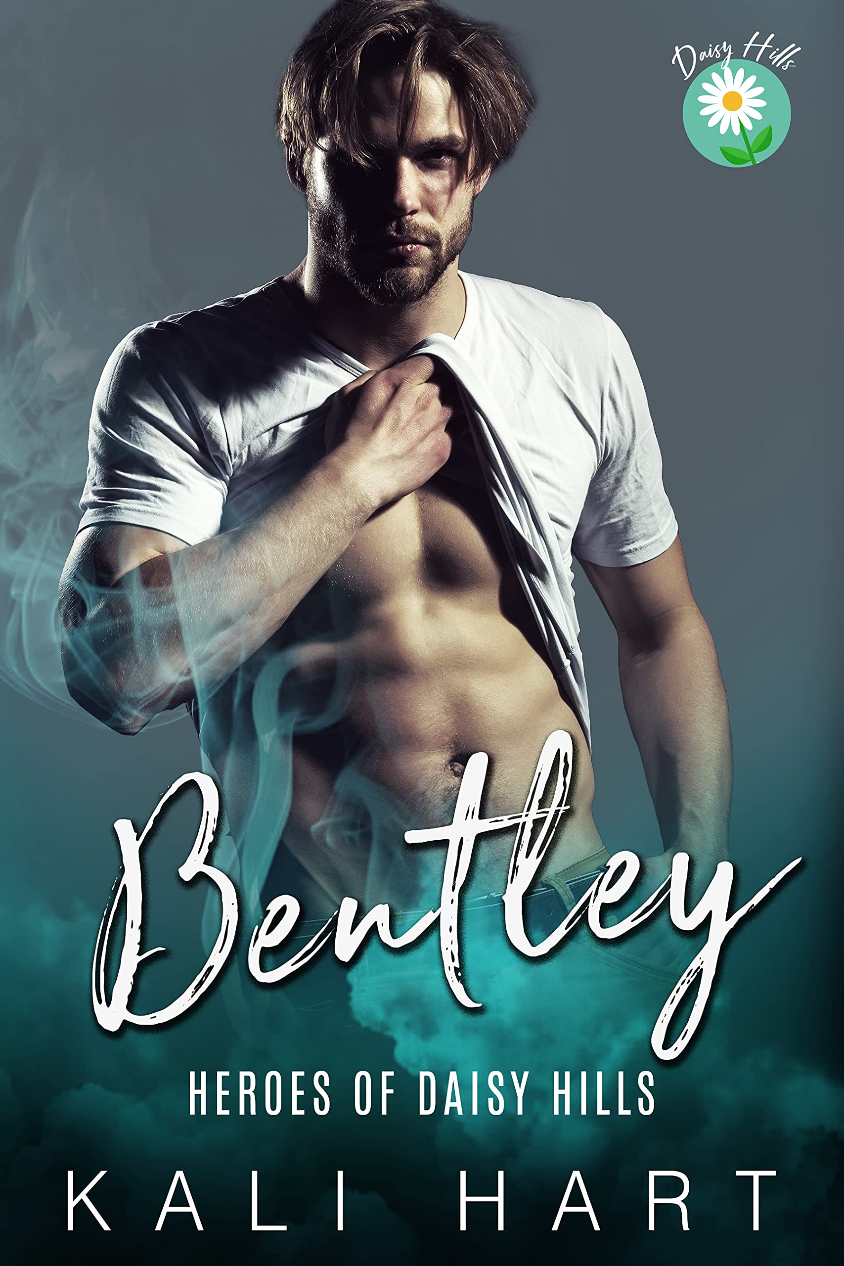 Heroes of Daisy Hills book cover 3