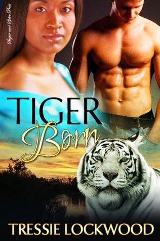 The Haven book cover 2