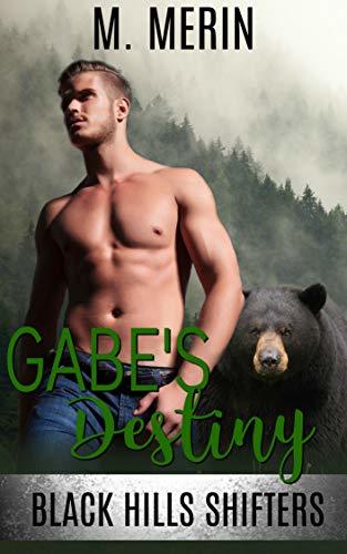 Gabe's Destiny book cover