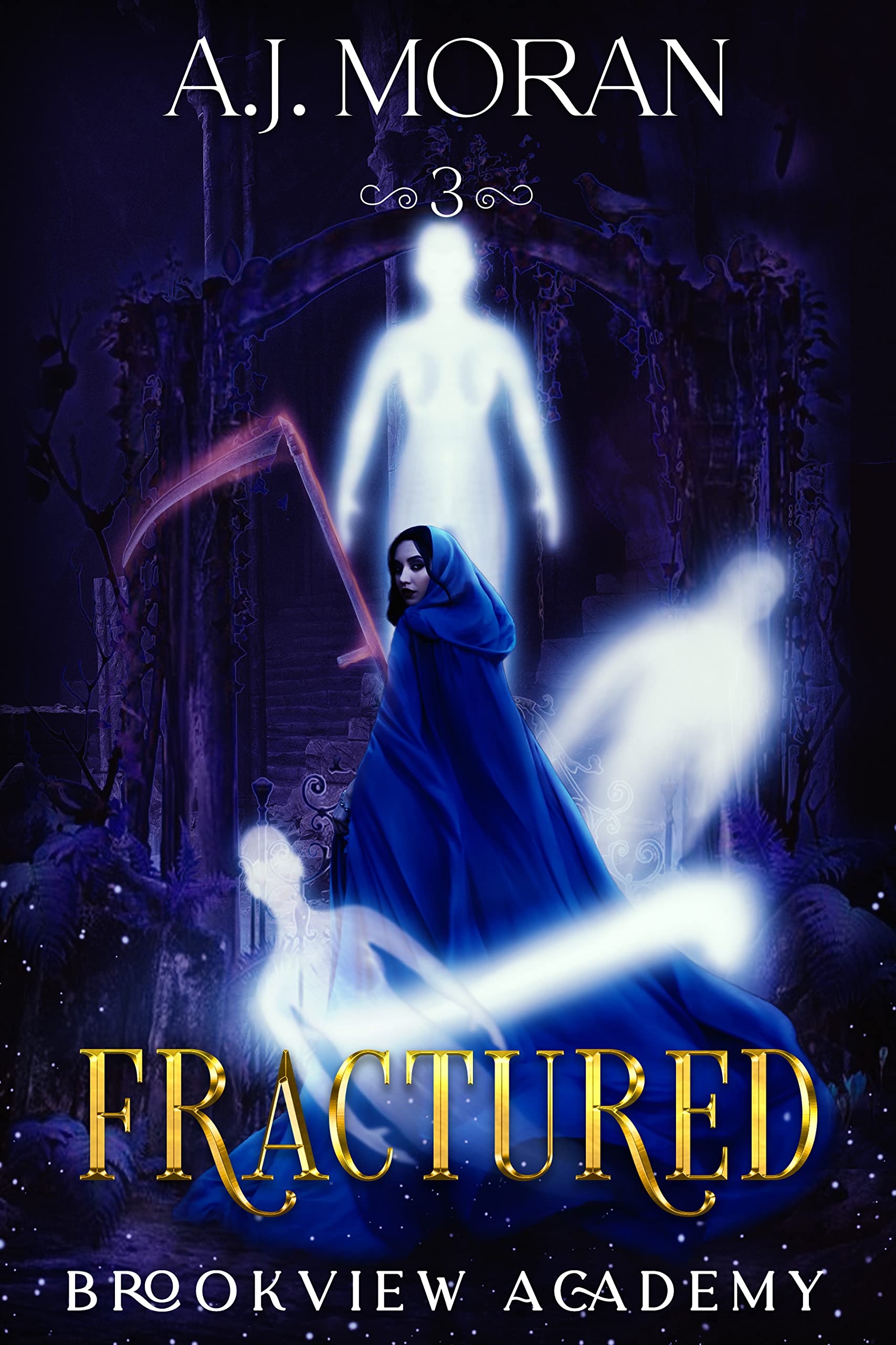 Brookview Academy book cover 2