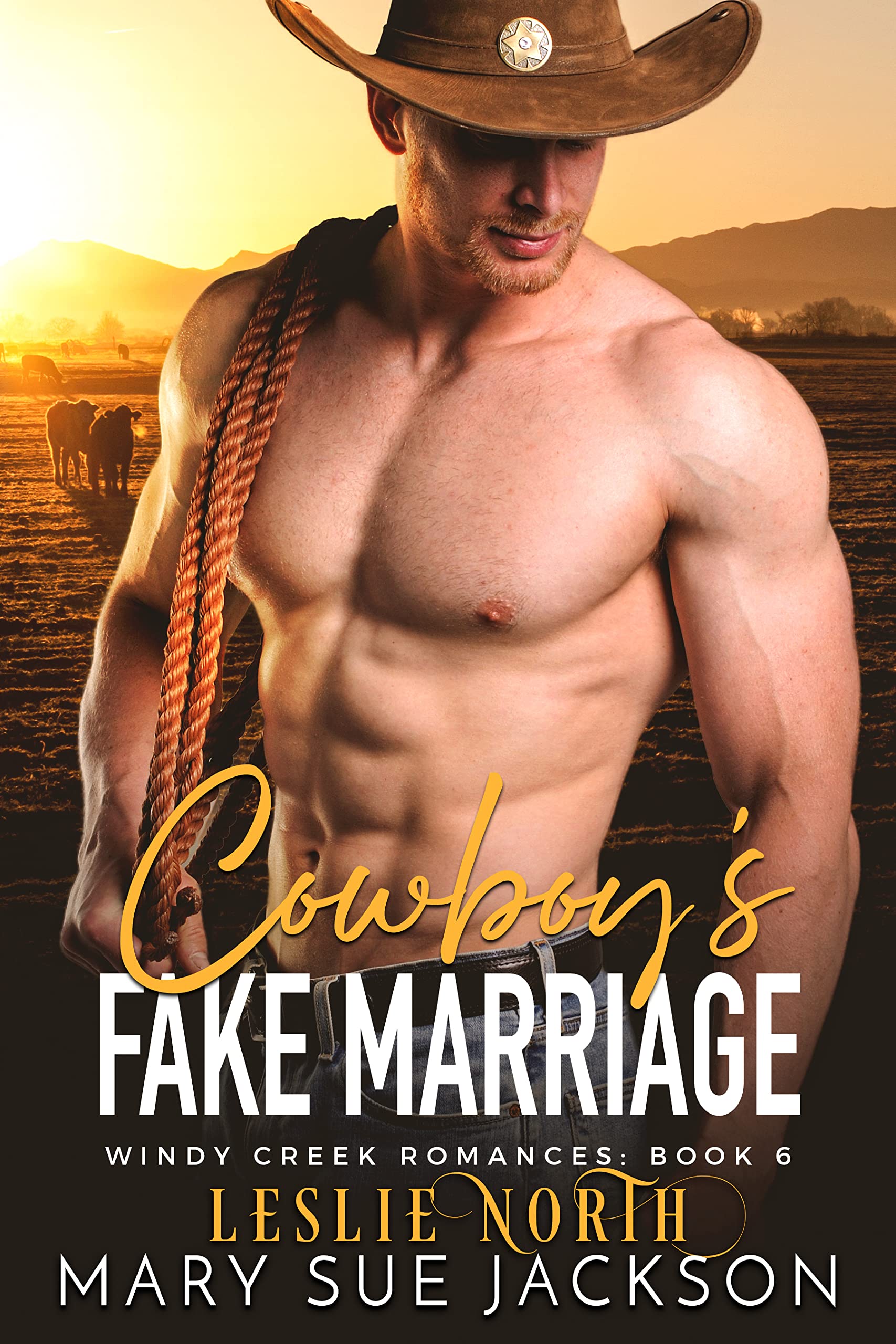 Cowboy's Fake Marriage book cover