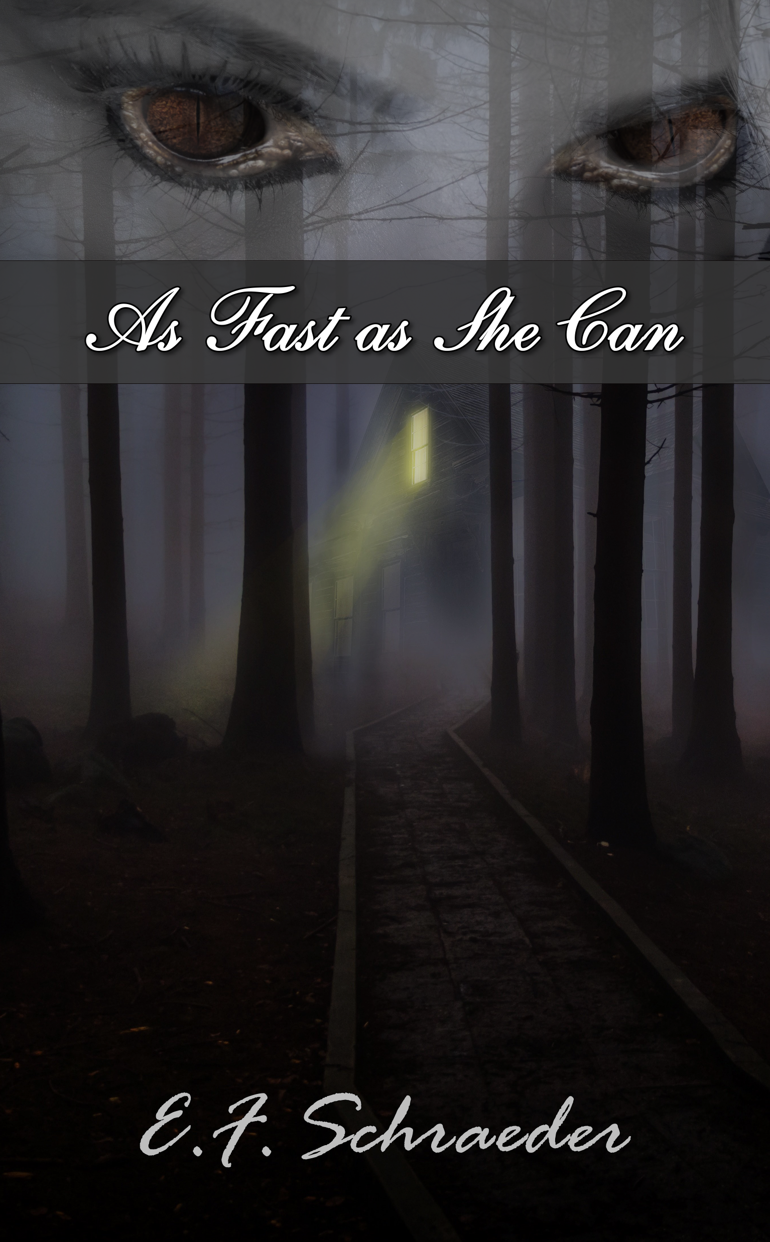 As Fast as She Can book cover