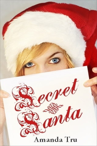Secret Santa book cover