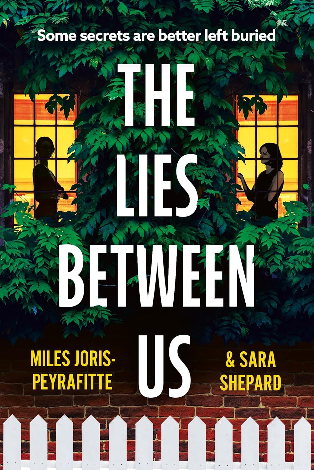The Lies Between Us book cover