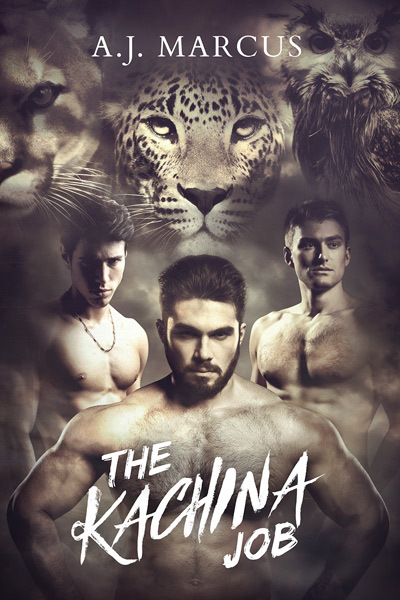 The Kachina Job book cover