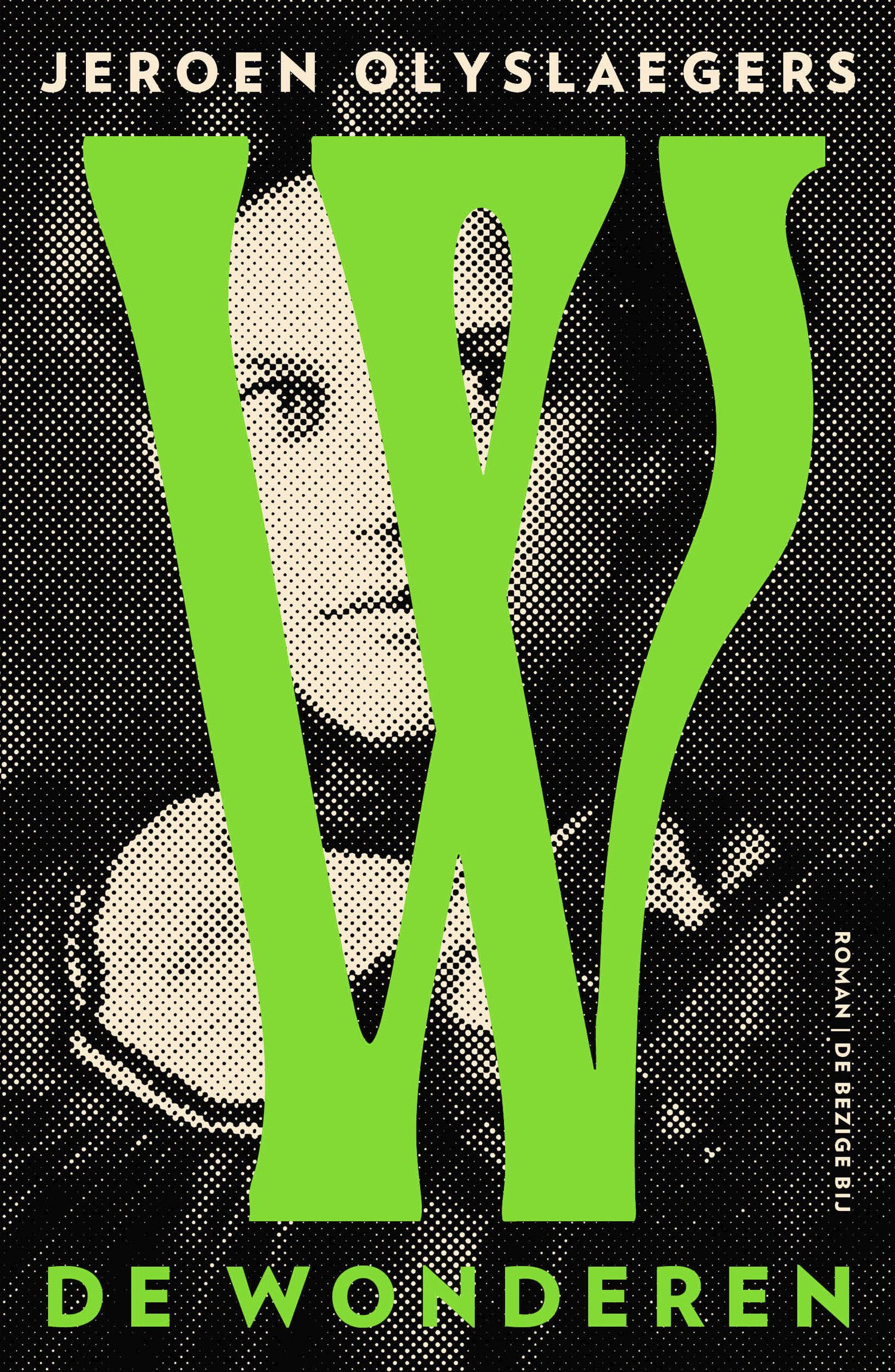 De wonderen book cover