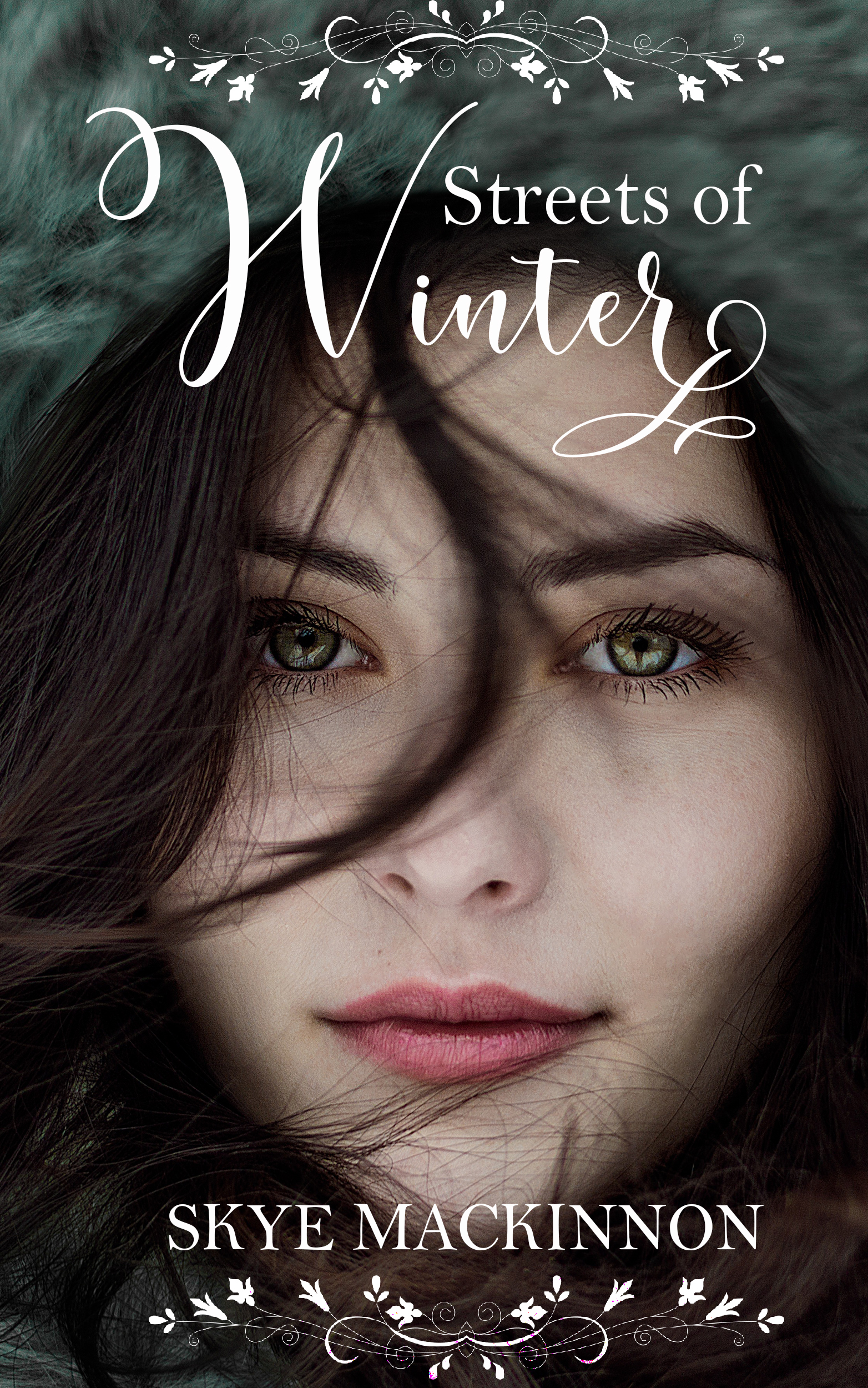 Streets of Winter book cover
