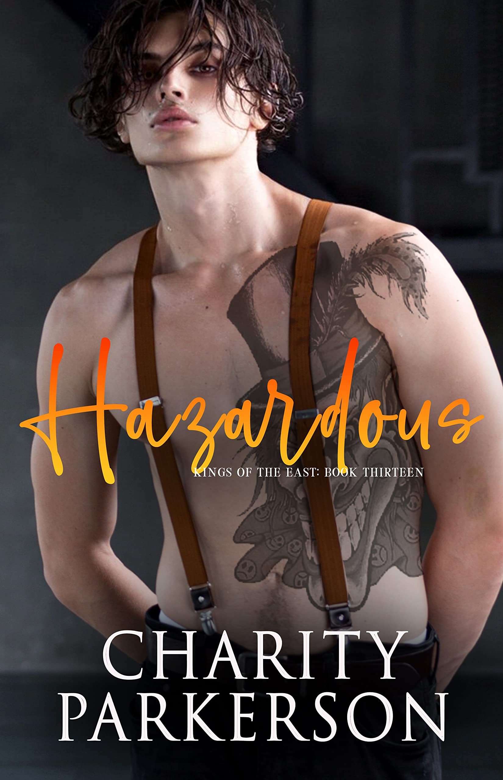 Hazardous book cover