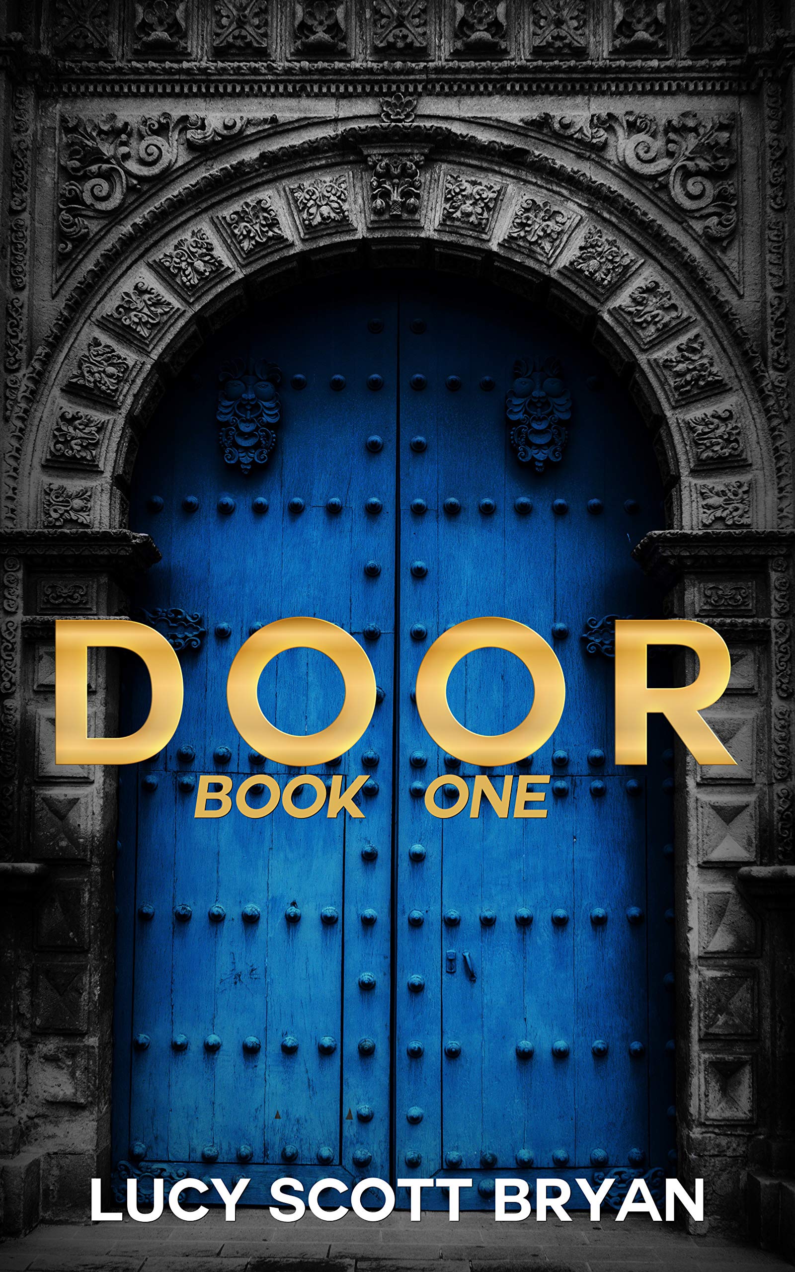 Door book cover 1