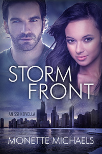 Storm Front book cover