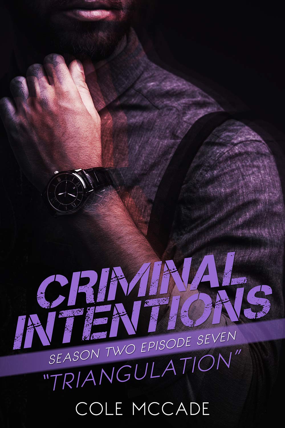 Triangulation book cover