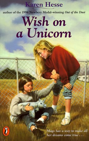 Wish on a Unicorn book cover