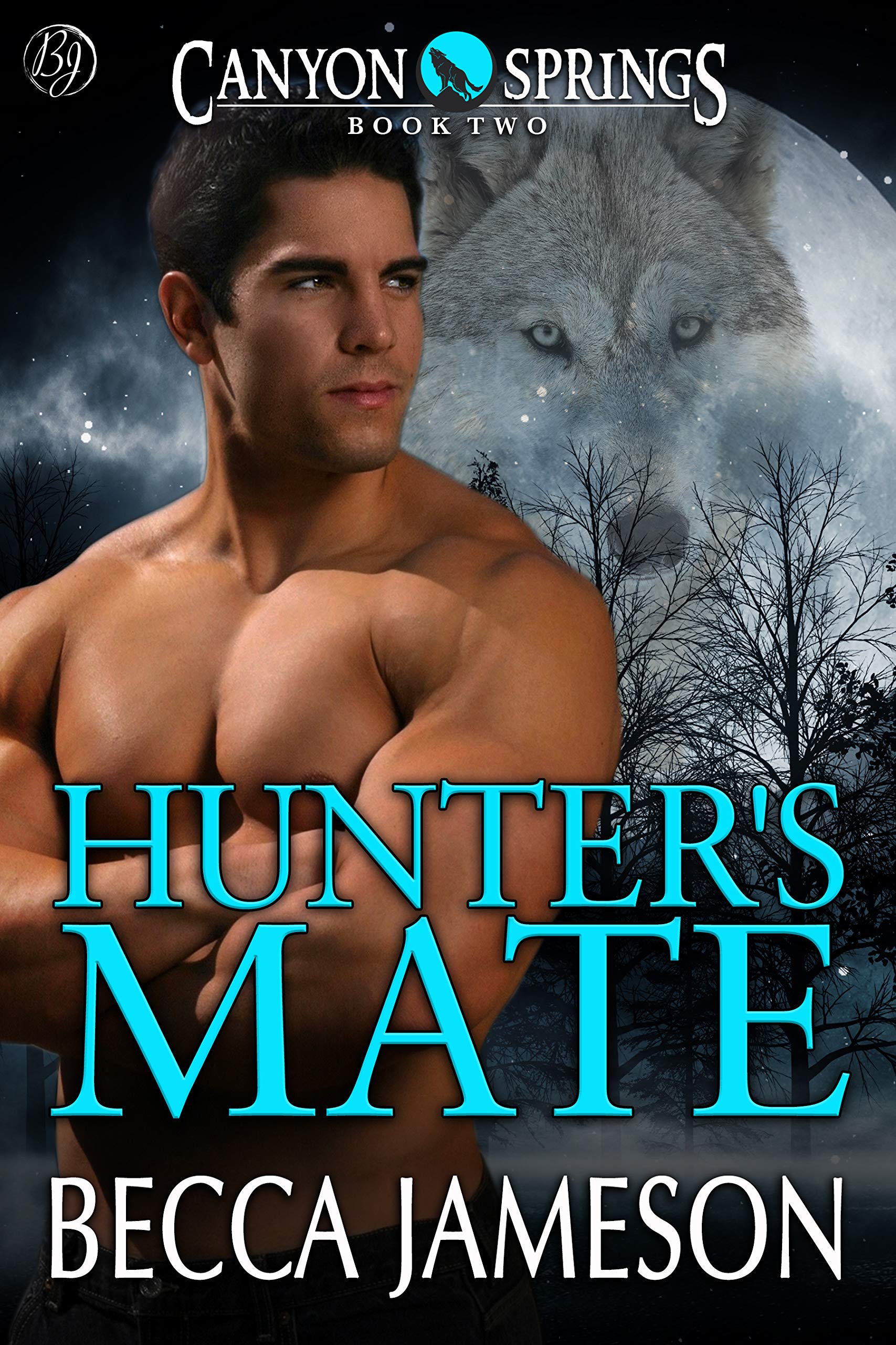 Canyon Springs book cover 2