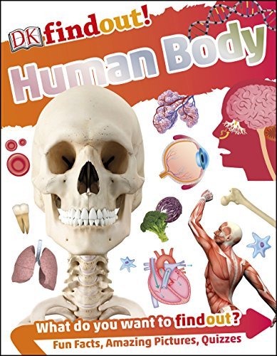 DKfindout! Human Body book cover