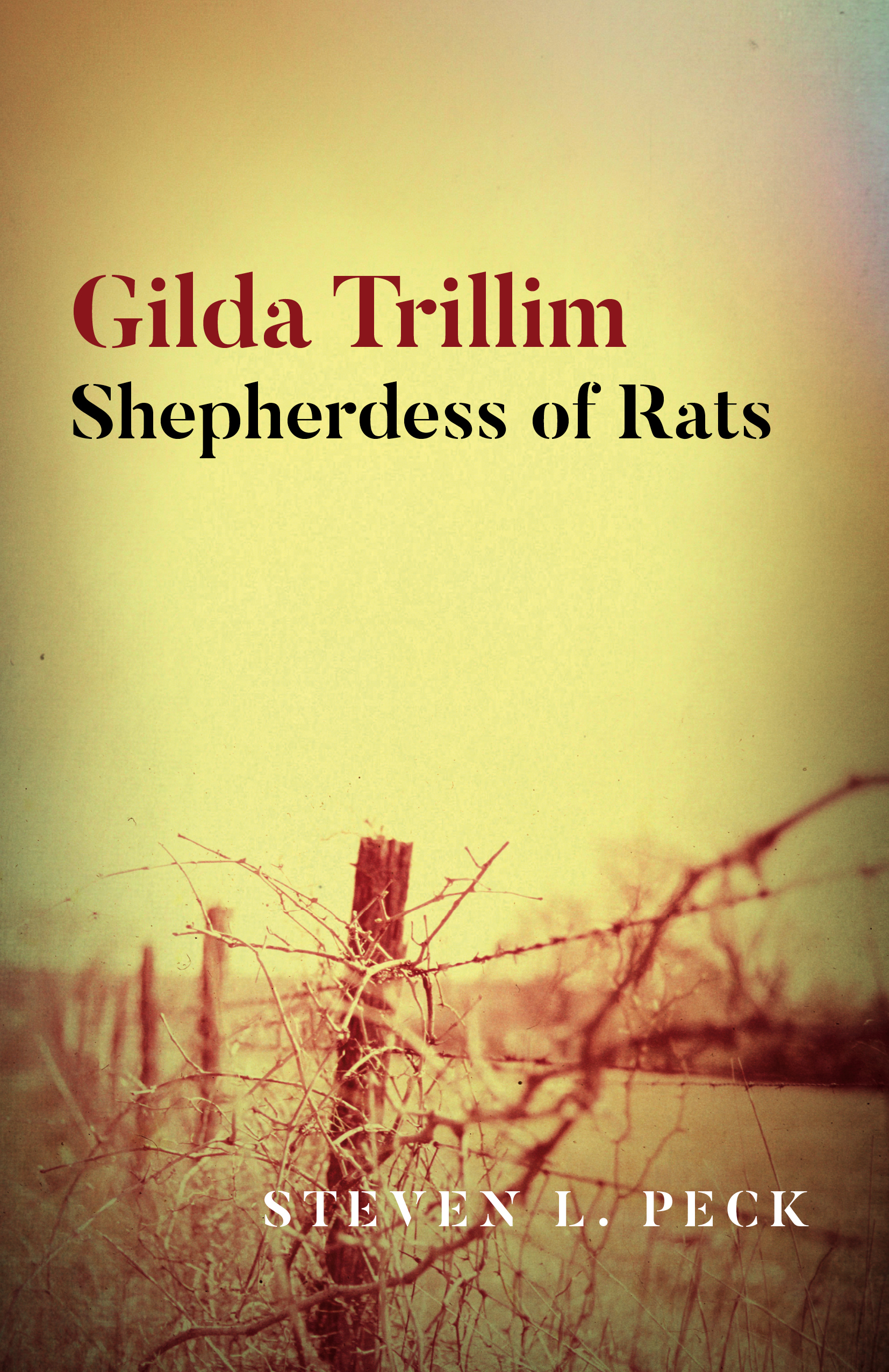 Gilda Trillim book cover