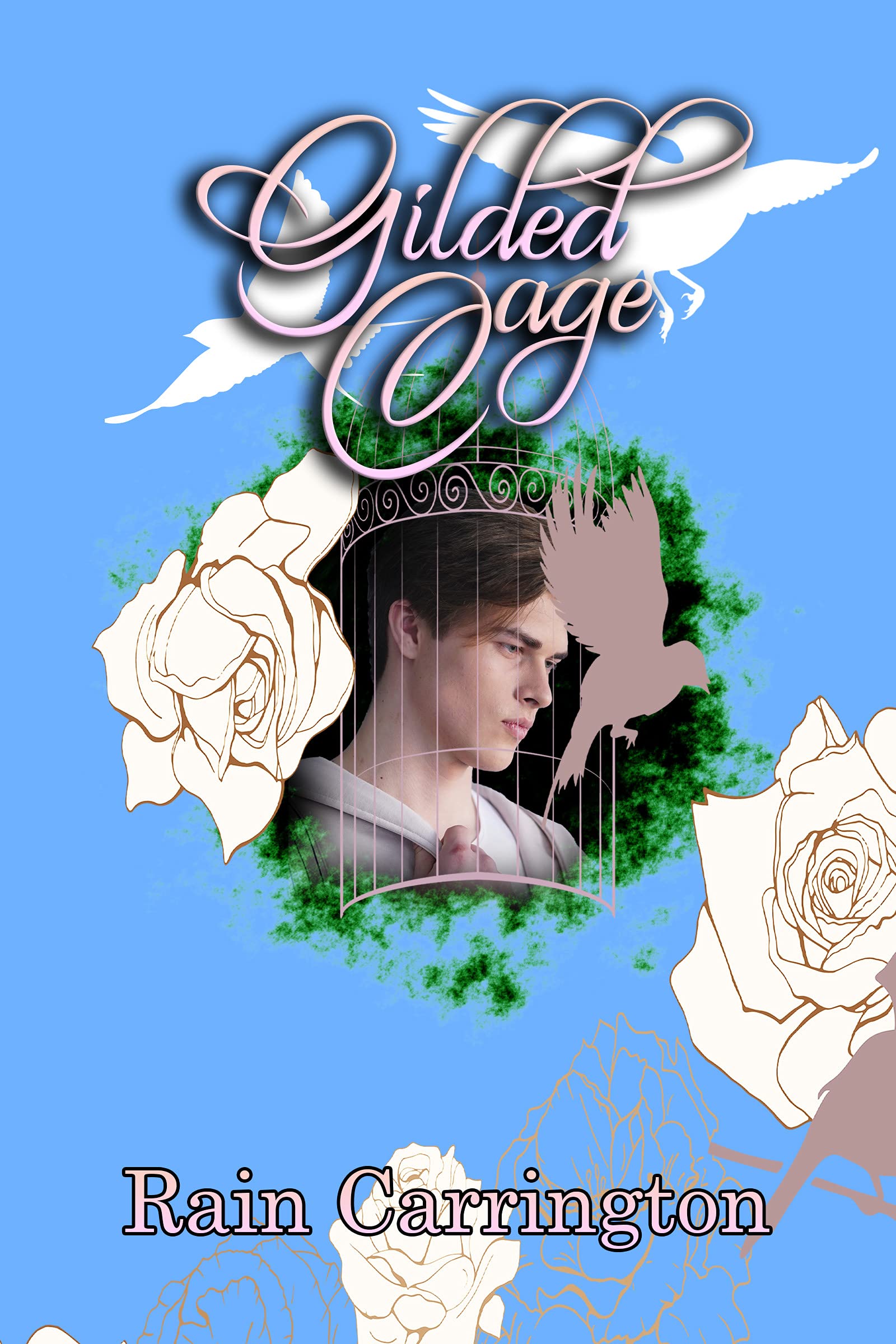 Birds of a Feather book cover 2