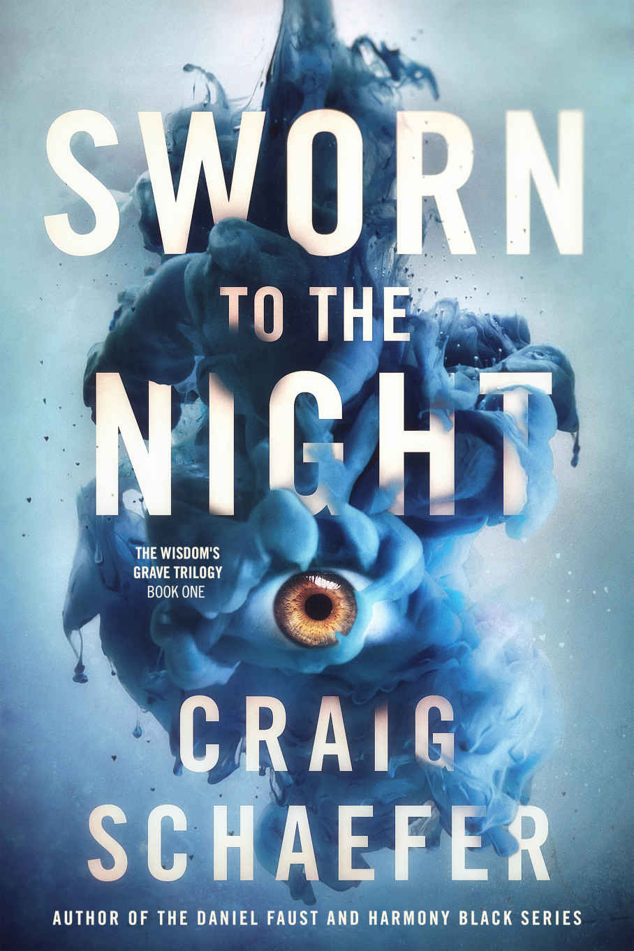 The Wisdom's Grave Trilogy book cover 1