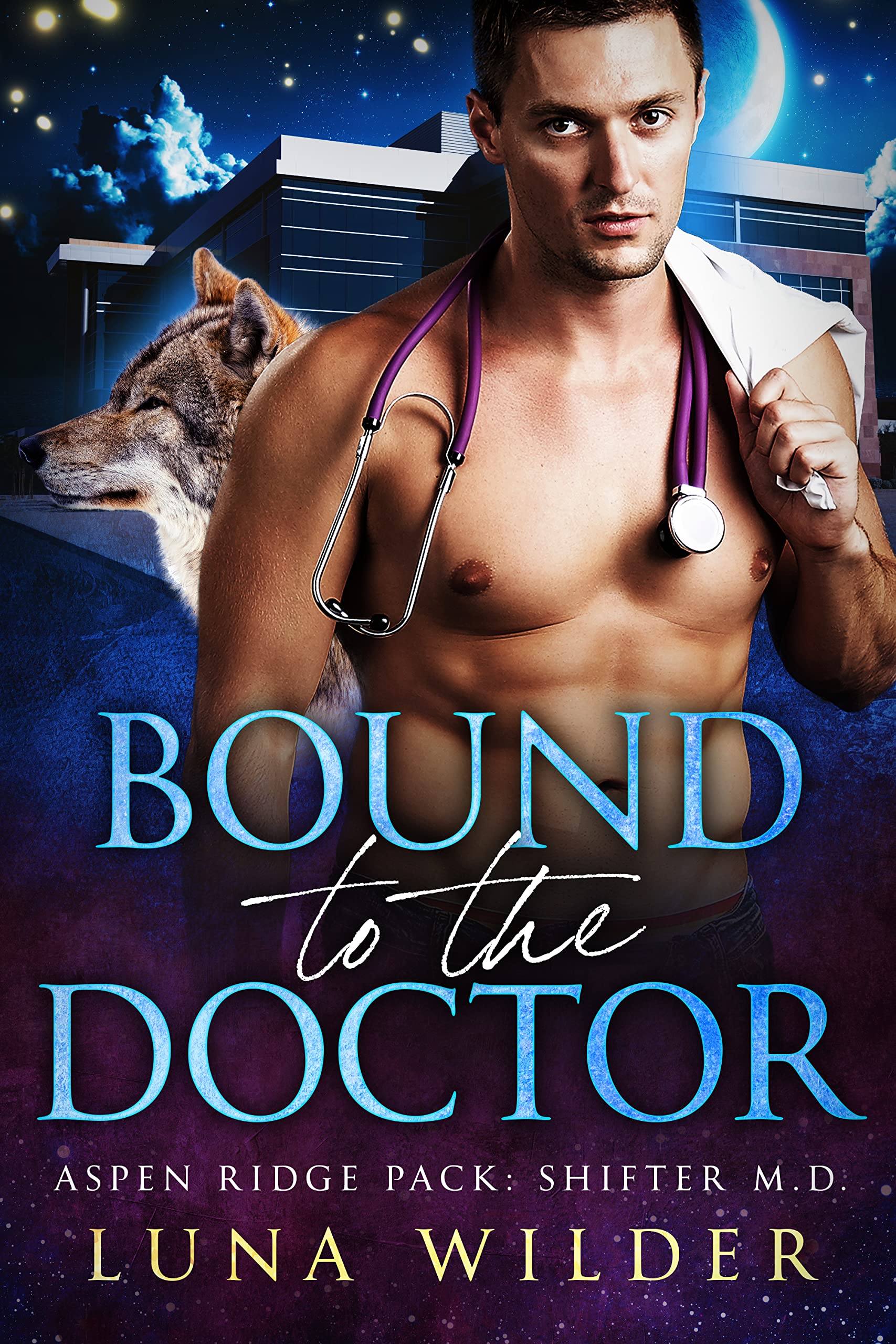 Aspen Ridge Pack: Shifter M.D. book cover 2