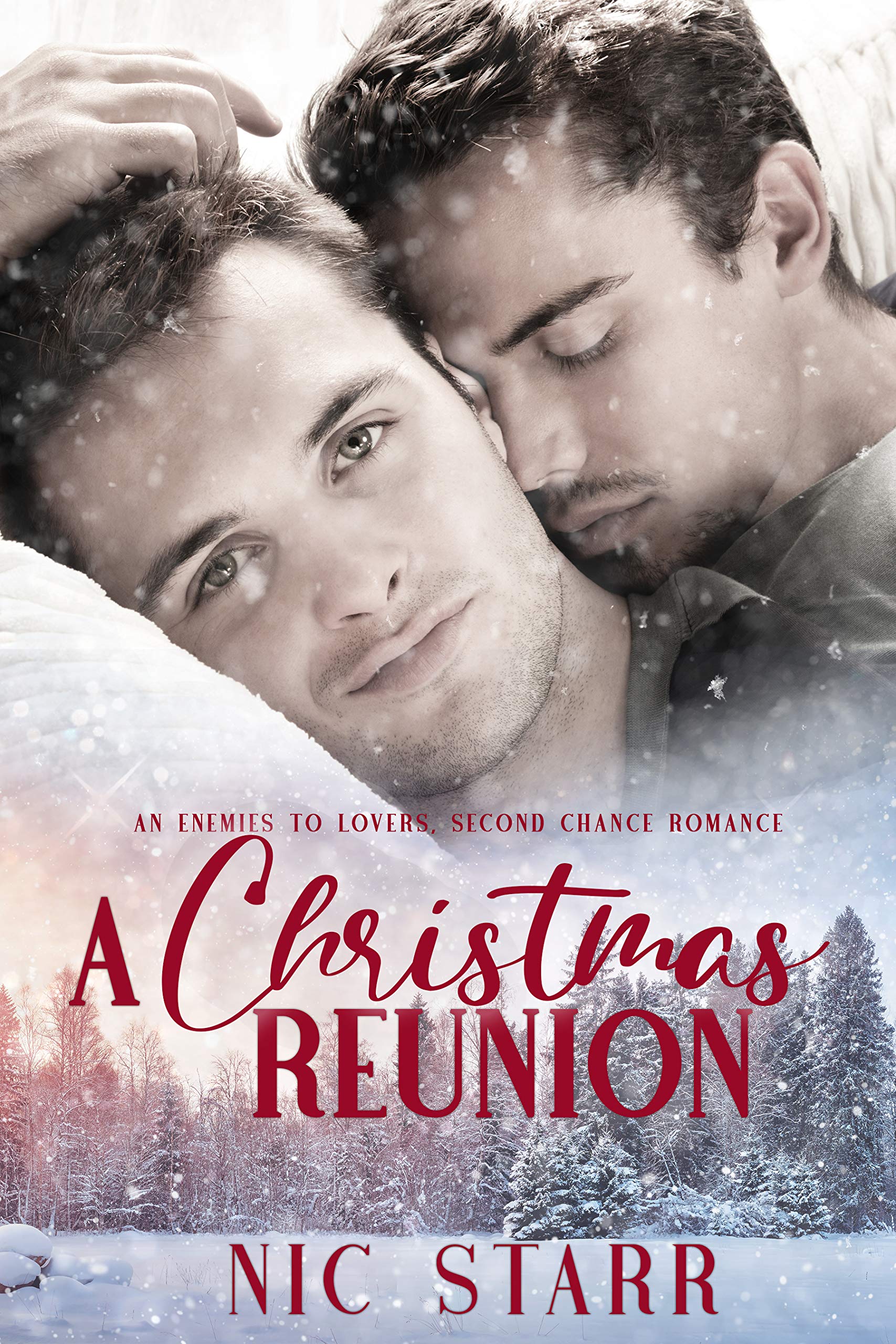 A Christmas Reunion book cover