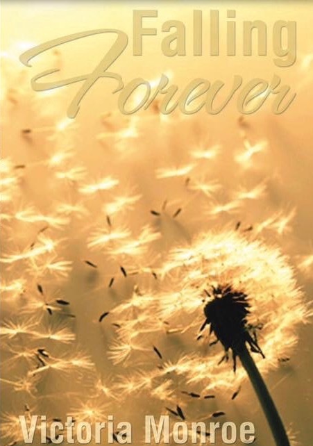 Falling Forever book cover