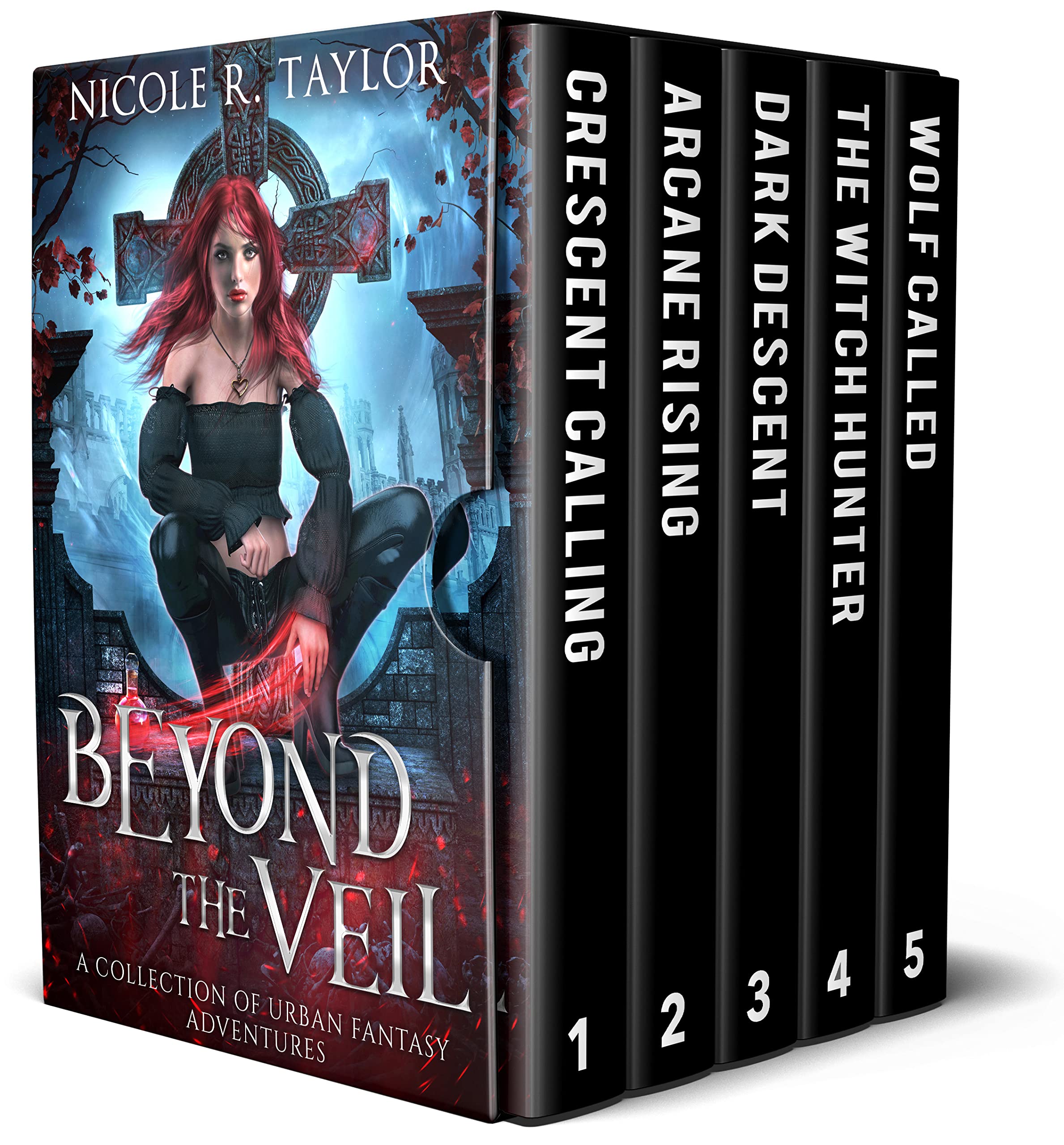 Beyond the Veil book cover
