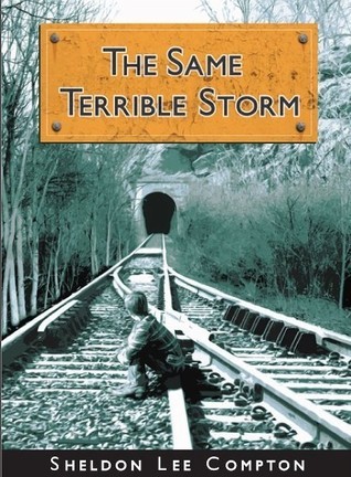 The Same Terrible Storm book cover