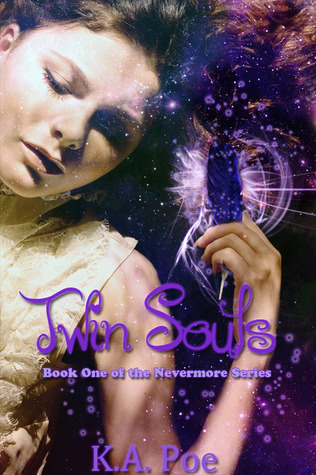 Nevermore book cover 1