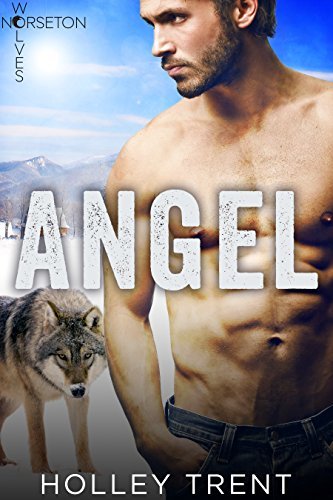 Angel book cover
