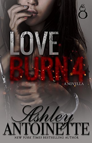 Love Burn 4 book cover
