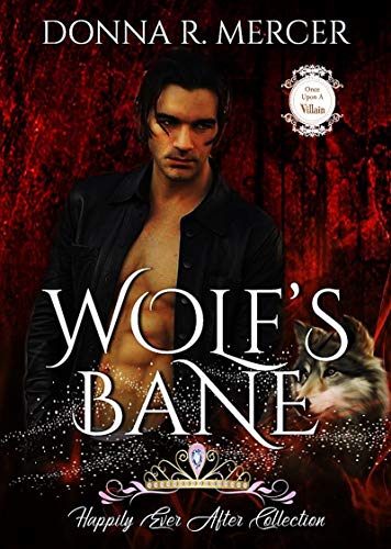 Once Upon a Villain book cover 2