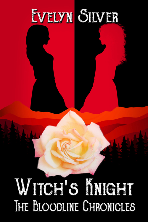 Witch's Knight book cover
