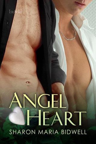 Angel book cover 2