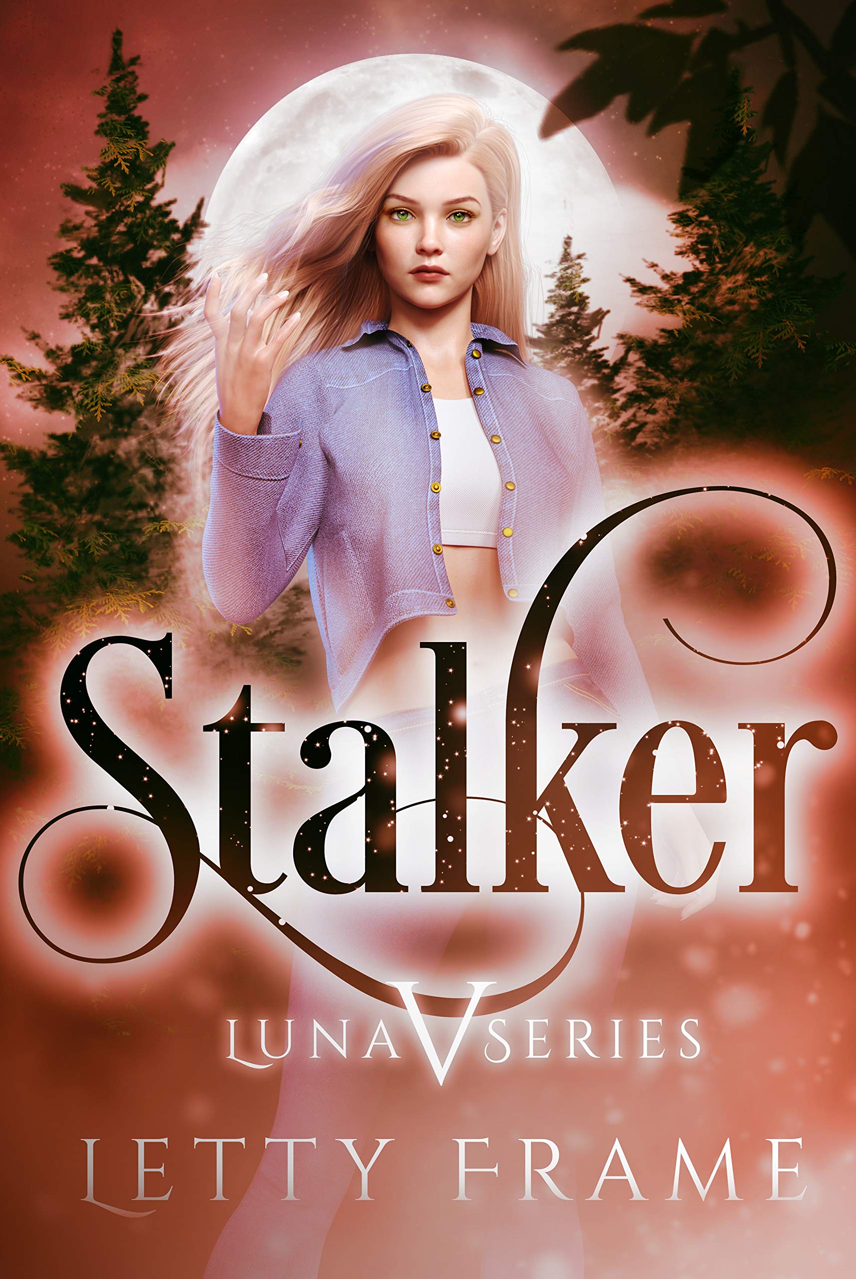 Stalker book cover