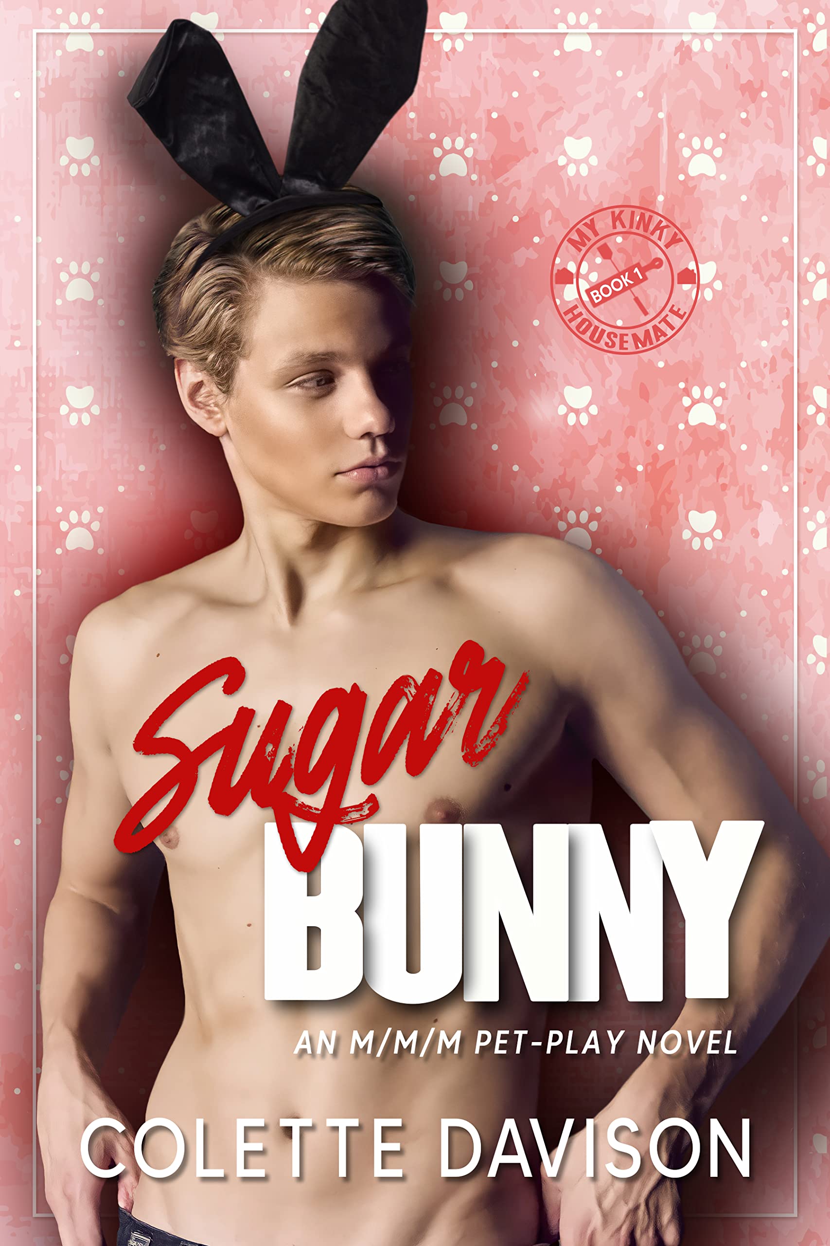 My Kinky Housemate book cover 1