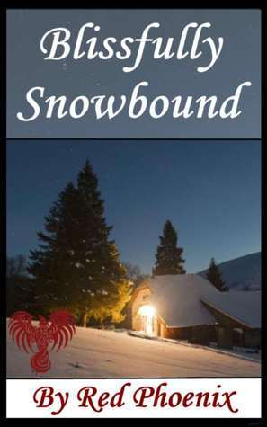 Blissfully book cover 1