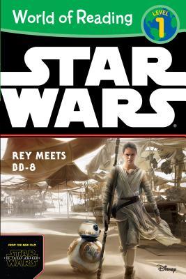 Rey Meets BB-8 book cover