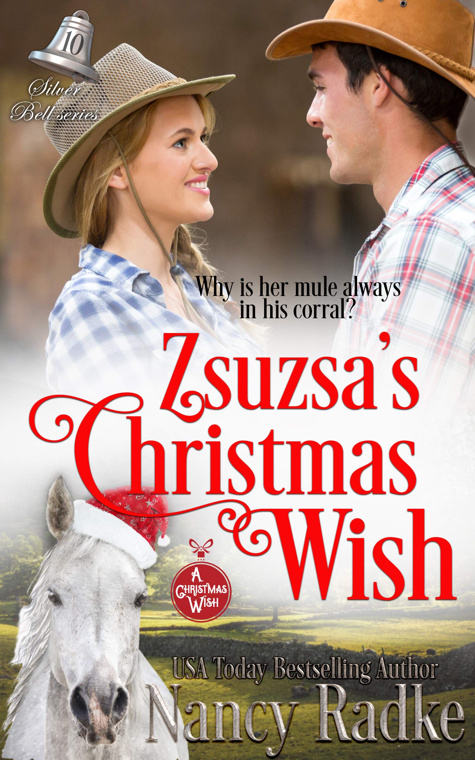 Zsuzsa's Christmas Wish book cover