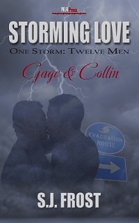 Storming Love: One Storm, Twelve Men book cover 1