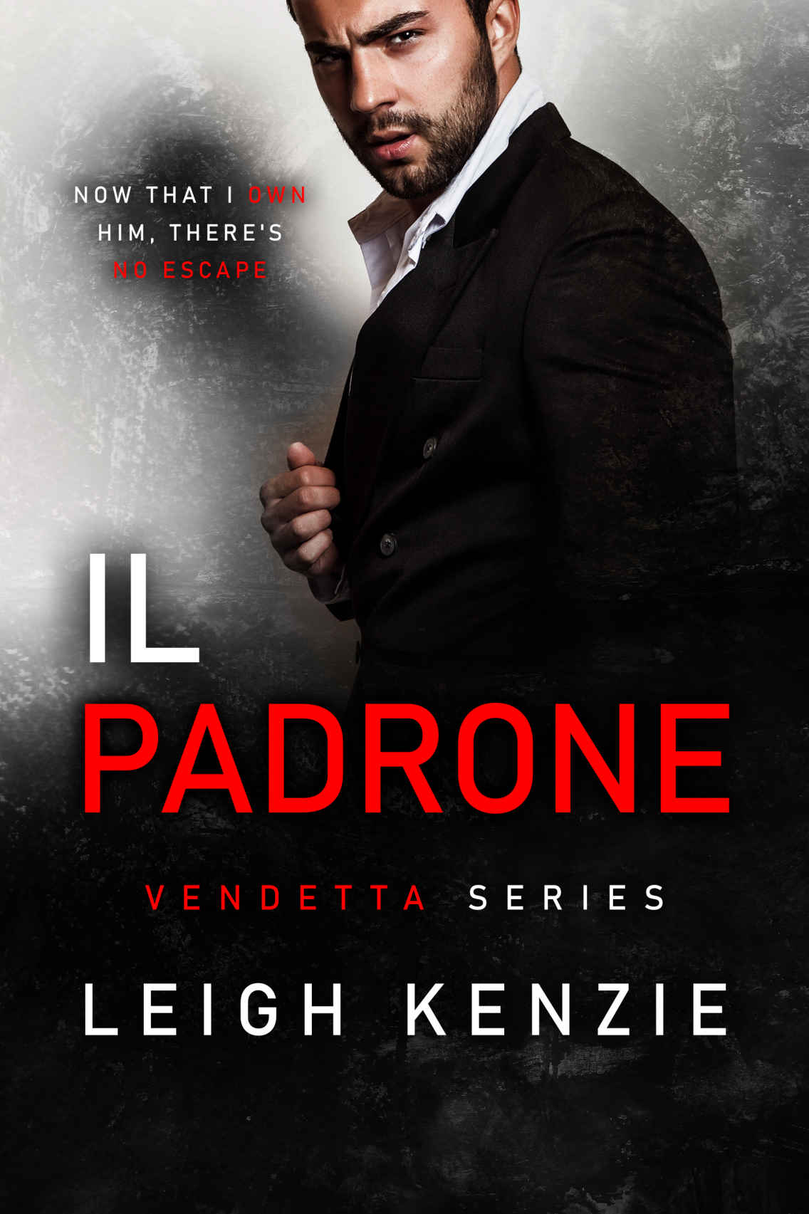 Vendetta book cover 1