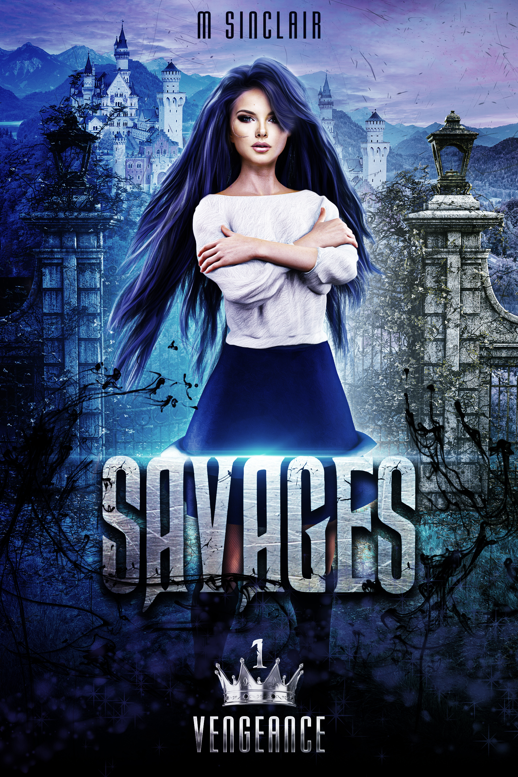 Vengeance book cover 1