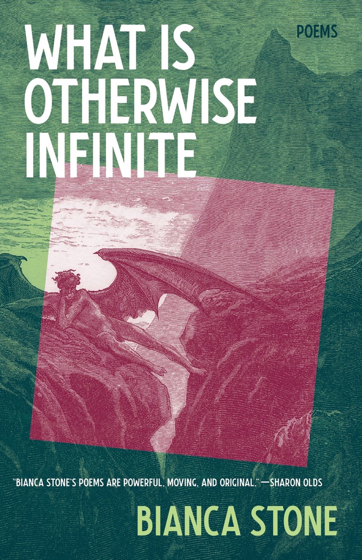 What Is Otherwise Infinite book cover